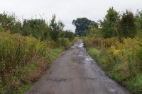 Przyroda Ołtaszyn